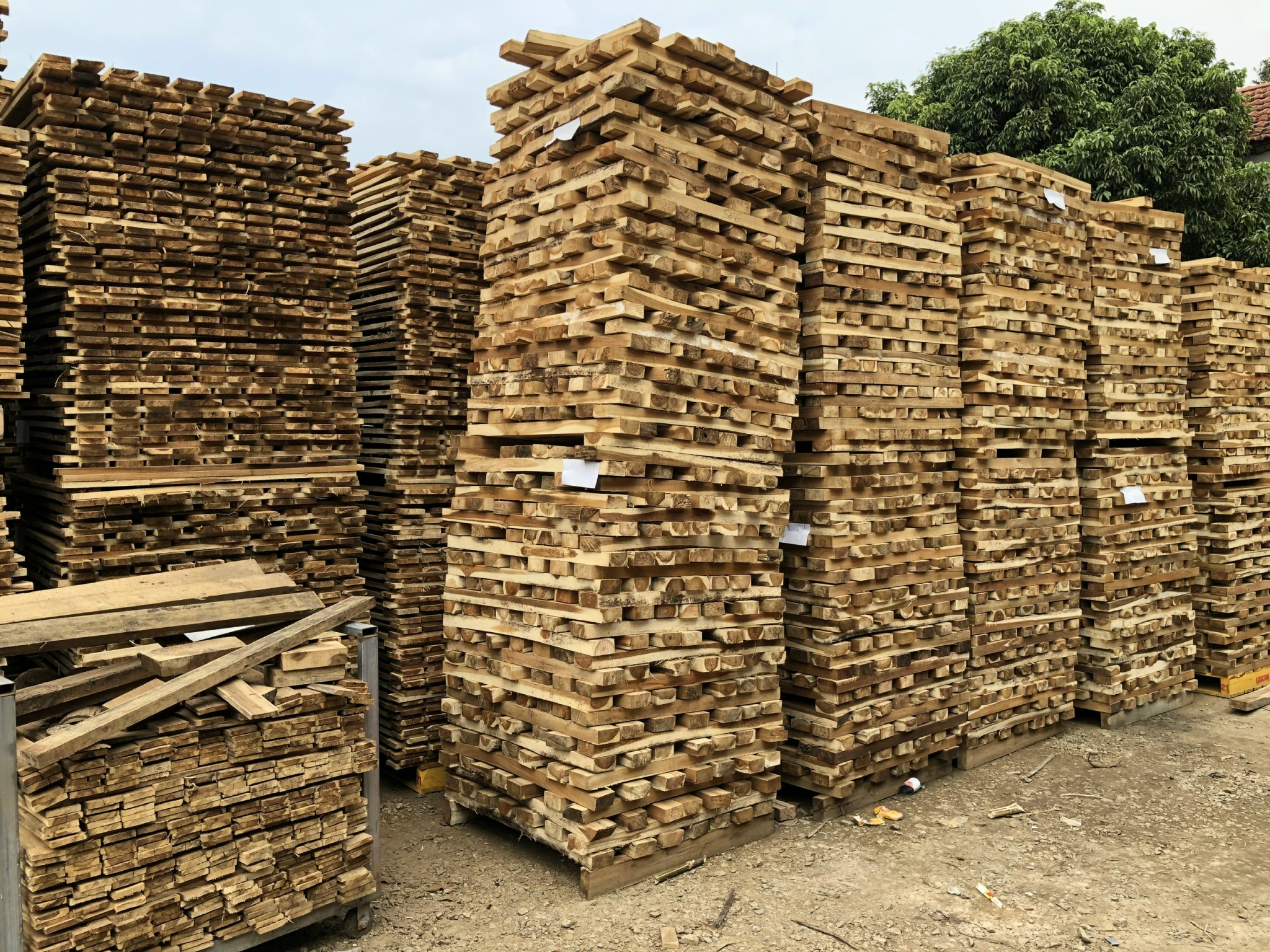 Pallet gỗ - Pallet HVG - Công Ty TNHH Đầu Tư & Sản Xuất HVG